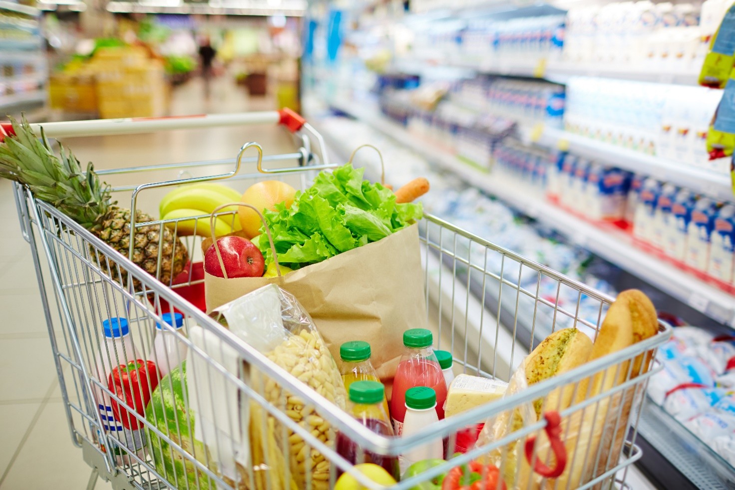 Nel 2025 consumi stimati in aumento dell’1%