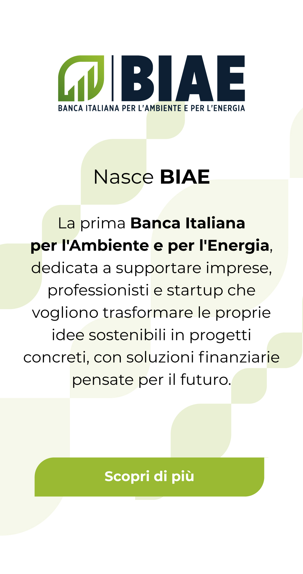 BIAE