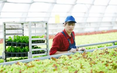 Il settore agro-alimentare traina la ripresa italiana