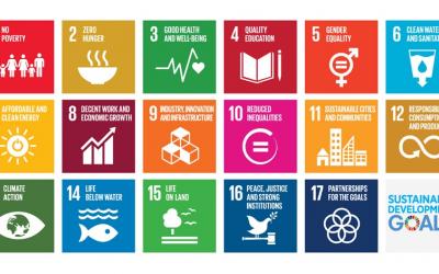 obiettivi di sviluppo sostenibile (SDG, Sustainable Development Goals)